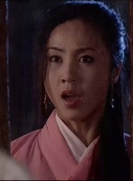 【杨门女将4：再战金沙滩】[香港内地][2004][国语无字][mkv / 3.9GB] [国语无字][mkv / 3.9GB][张山...