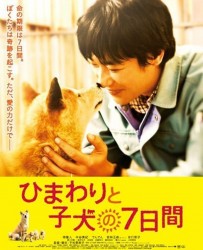 【向日葵与幼犬的7天】[BT下载][日语][剧情][日本][堺雅人/中谷美纪/绪方义博][720P]