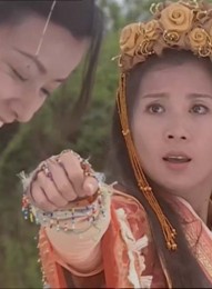 【杨门女将5：四郎探母/杨门女将之四郎探母】[香港内地][2004][国语无字][mkv/4.09GB]